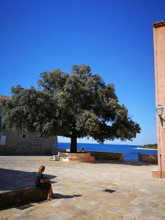 Family Friendly Apartments Island Rab Kampor Exterior photo
